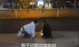 男生舔女生下面的视频,揭秘网络传播的私密视频事件